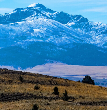 blue mountain